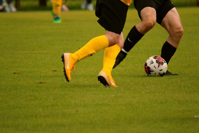 而卫冕冠军 而卫冕冠军